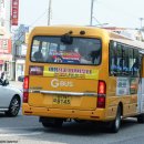 동백A(1차) 이미지