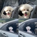 중사목장 이미지