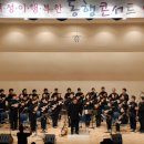 하와이 전통악기 우쿨렐레 이미지