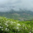 만연산주차장 공중화장실 이미지