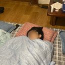 포레스테이 이미지