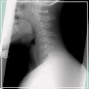 푸른정형외과의원 | 정형외과와 함께하는 연령별 맞춤 운동, 꼭 따라해보세요!