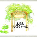 솔우 이미지
