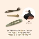 머리치장 이미지