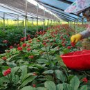 삼열농장 이미지