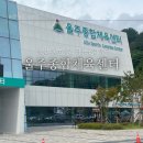 울주종합상사 | 울산 자유수영 울주종합체육센터 실내수영장 후기