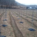 계수농장 이미지