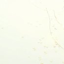 리뉴치과교정과치과의원 이미지