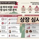 유한회사 현성테크 | 스타트업 IPO 투자 전략, 초보 투자자가 꼭 놓치는 세 가지 핵심 체크리스트