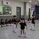 해를담은태권도 이미지