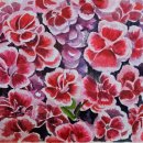 수채화 그리기 이미지