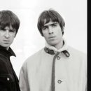 오아시스 이미지