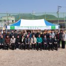 무릉도원면-31 이미지