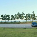 망상컨벤션센터 이미지