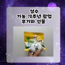 가농뷰티 - 부산진구 중앙대로 672 | 성수 11월 첫째주 팝업: 가농 계란 팝업 후기, 선물, 웨이팅