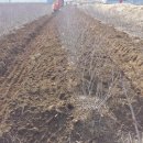 한골농장 이미지