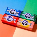 민트인사이트 이미지