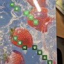 오복주유소 | 김멜라, 『리듬 난바다』, 문학동네_쓰는 중