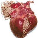 이촌약국 이미지