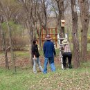 나무고아원 이미지