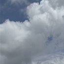 쭈니에게❕#247 이미지