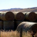 목초농장 이미지