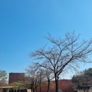 푸르고드림 이미지