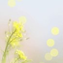 이영춘「들풀」 이미지