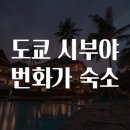웰빙세탁소 | 도쿄 시부야 번화가 숙소