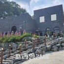 서울특별시 미디어재단 티비에스(TBS | 2026년 8월 3일 반려동물 뉴스 스크랩