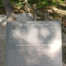심적사
