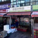 강원수족관 티스토리
