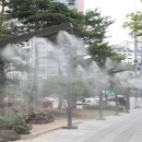 석바위시장 인천투데이
