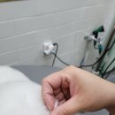 아스타펫살롱 이미지