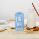 아침햇살 이미지