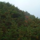 앞산공원 이미지