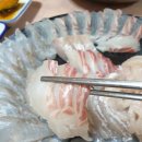 옥포횟집 물회도 맛있는 &#39;엉터리막썰이&#39;