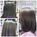 천연머리염색 이미지