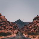 상상의숲-Dream 이미지