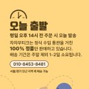 차차퀼트 이미지