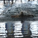 금메달세탁소 이미지