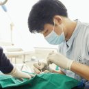 서울오치과의원 이미지