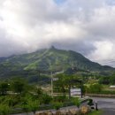 곰비님비 이미지