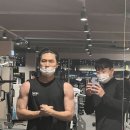 젠틀레이디