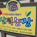 김영덕농장 이미지