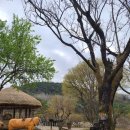 청풍호 속에 잠긴 그리운 풍경 청풍문화재단지 이미지