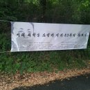 법률사무소유택