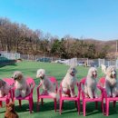 옥동이 네이버블로그
