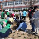 능서초등학교 이미지