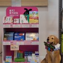 코코온누리약국 이미지